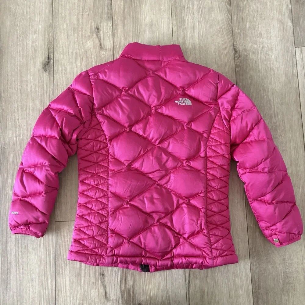 The North Face north face